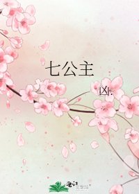 七公主